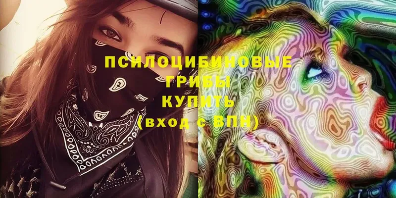 Псилоцибиновые грибы Magic Shrooms  Шлиссельбург 